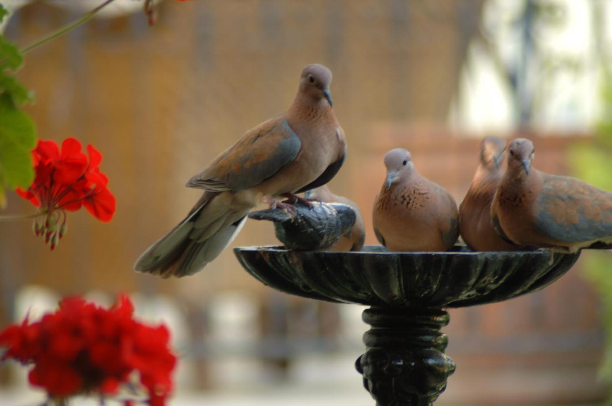 Tuvana Hotel อันตัลยา ภายนอก รูปภาพ